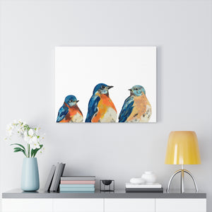 Three Bluebirds on Canvas Gallery Wrap