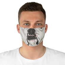 Load image into Gallery viewer, Tofu Fabric Face Mask - Nelson and Timmy