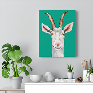Billy the Goat Canvas Gallery Wrap