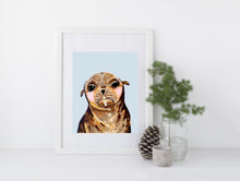 Load image into Gallery viewer, Gary the Seal