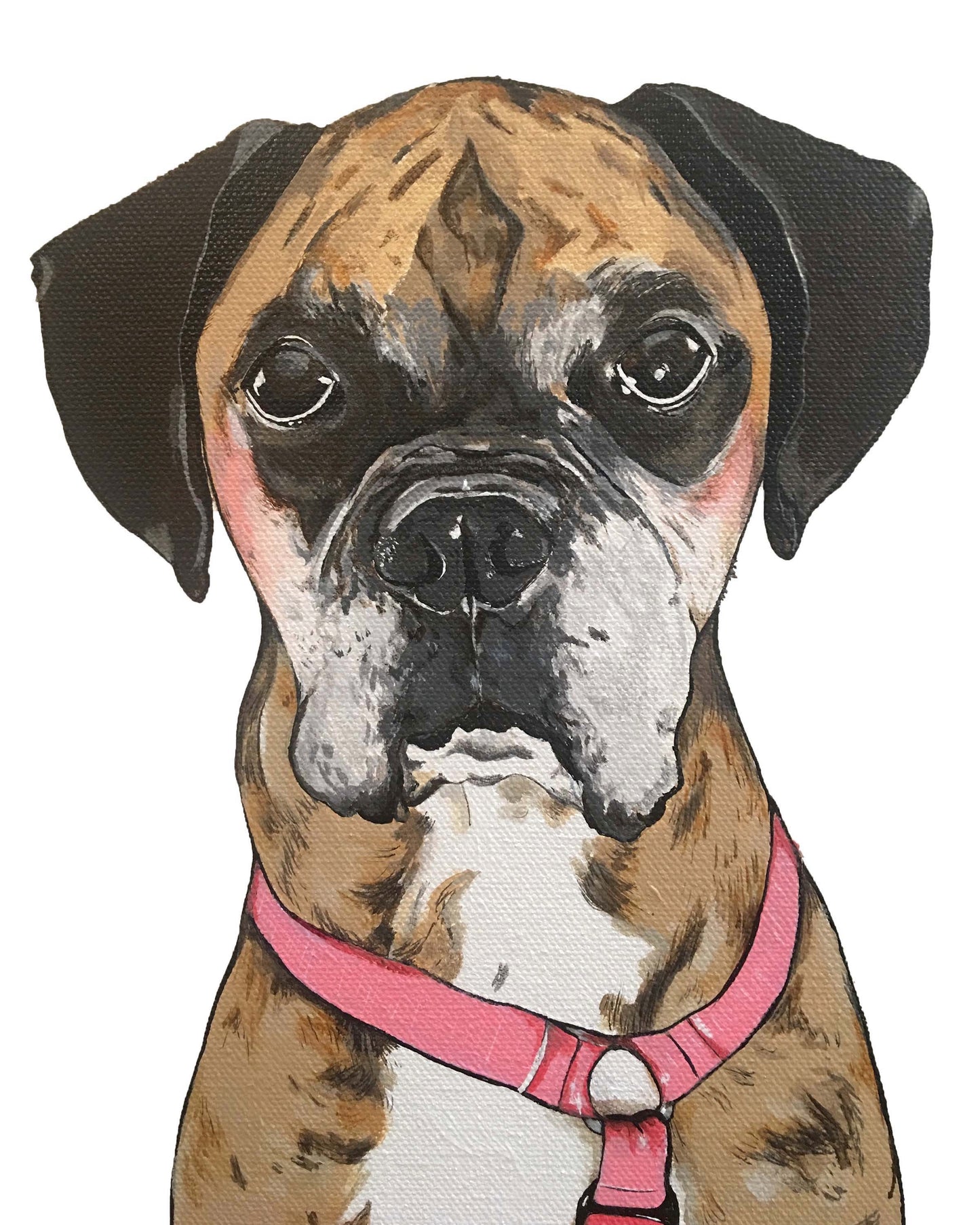 Belle the Boxer