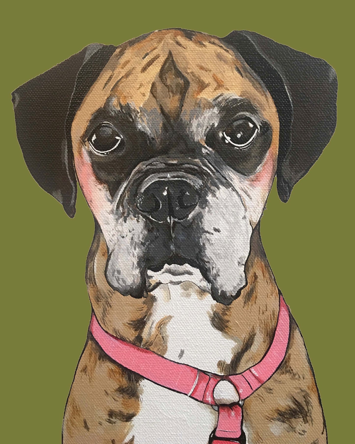 Belle the Boxer