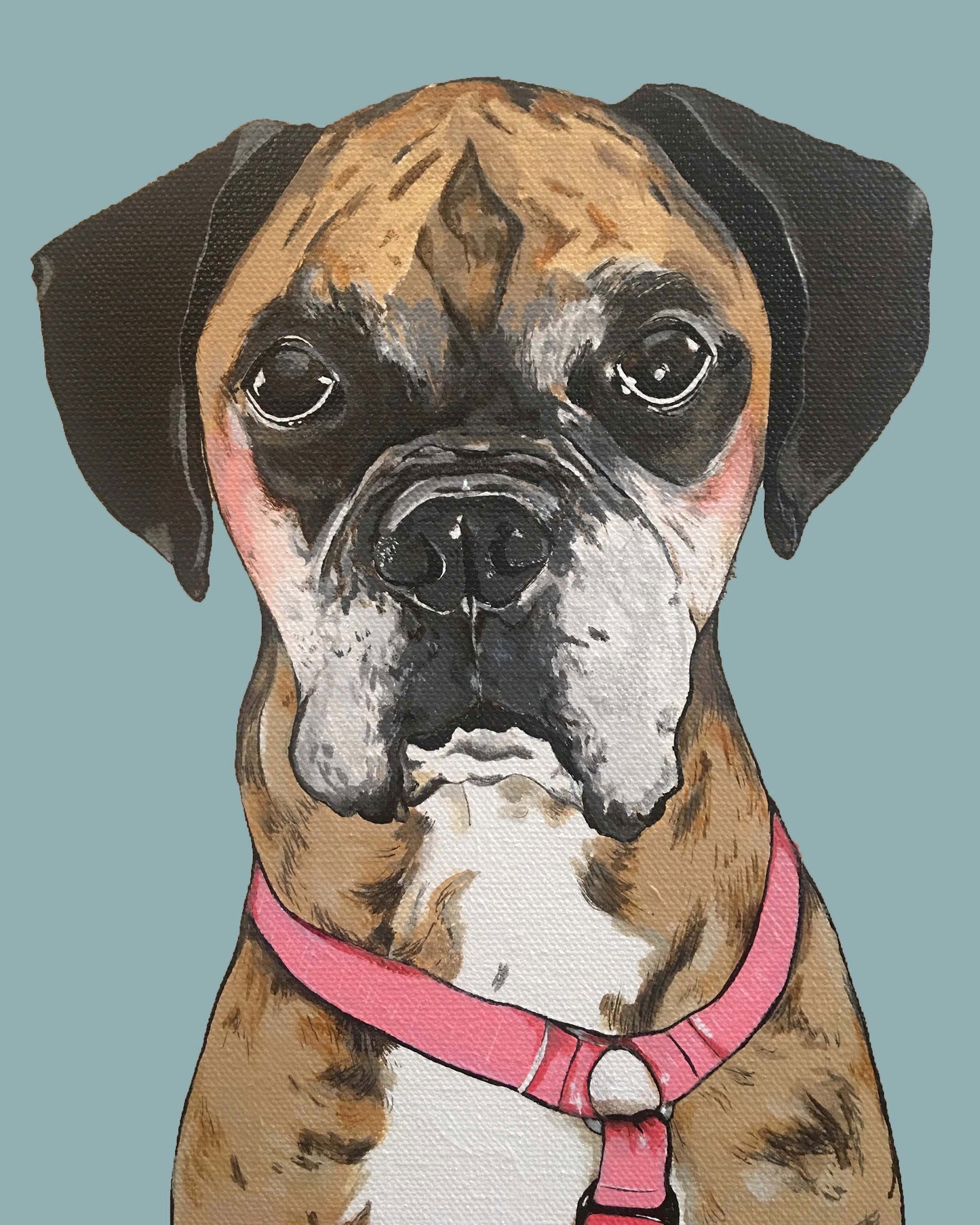 Belle the Boxer