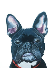 Load image into Gallery viewer, Mister French the French Bulldog
