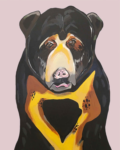 Print - Sam the Sun Bear