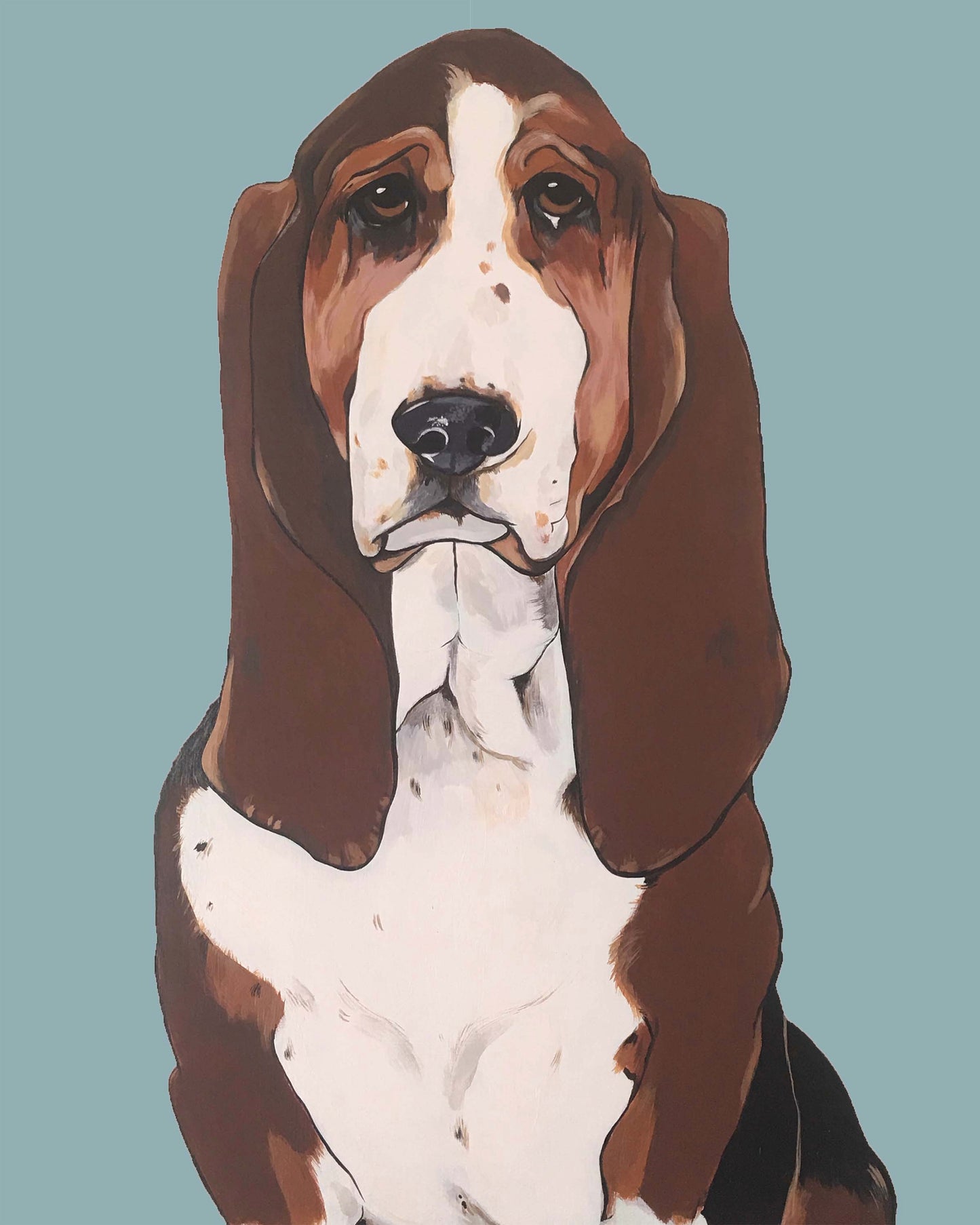 Buster the Basset Hound