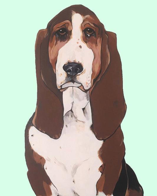 Buster the Basset Hound