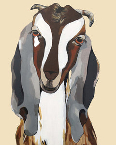 Godfrey the Goat