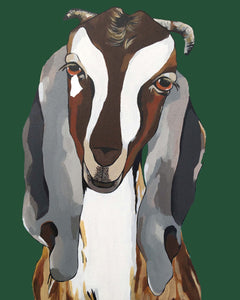 Godfrey the Goat