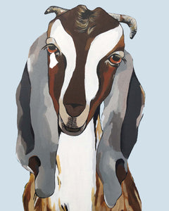 Godfrey the Goat