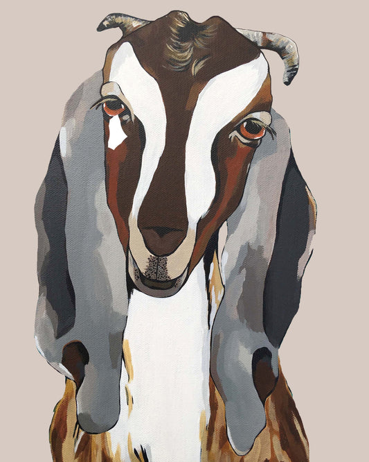 Godfrey the Goat