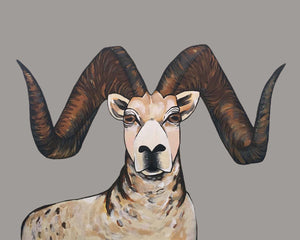 Print - Sherman the Sheep