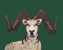 Load image into Gallery viewer, Print - Sherman the Sheep