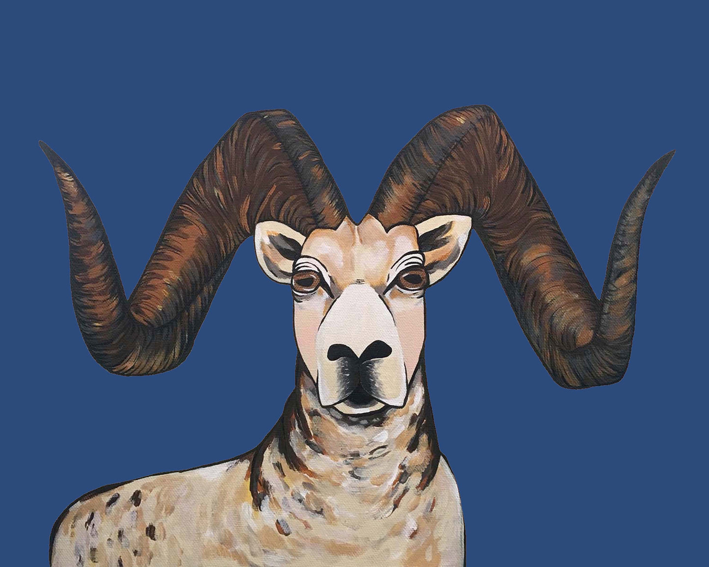Print - Sherman the Sheep