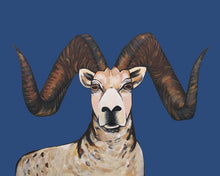 Load image into Gallery viewer, Print - Sherman the Sheep