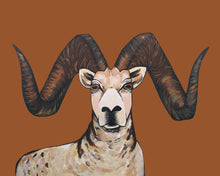 Load image into Gallery viewer, Print - Sherman the Sheep
