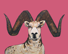 Load image into Gallery viewer, Print - Sherman the Sheep