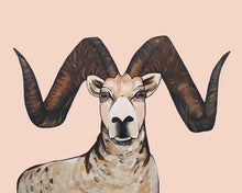 Load image into Gallery viewer, Print - Sherman the Sheep