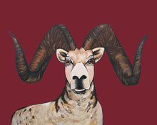Load image into Gallery viewer, Print - Sherman the Sheep