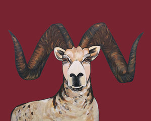 Print - Sherman the Sheep