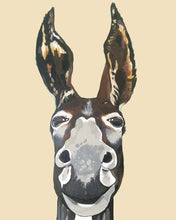 Load image into Gallery viewer, Don Key