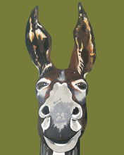 Load image into Gallery viewer, Don Key