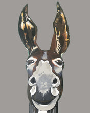Load image into Gallery viewer, Don Key