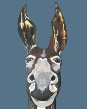 Load image into Gallery viewer, Don Key