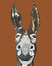 Load image into Gallery viewer, Don Key