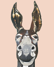 Load image into Gallery viewer, Don Key