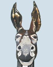 Load image into Gallery viewer, Don Key