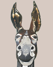 Load image into Gallery viewer, Don Key