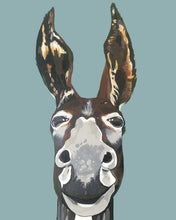 Load image into Gallery viewer, Don Key