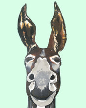 Load image into Gallery viewer, Don Key