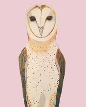 Load image into Gallery viewer, Olivia the Owl