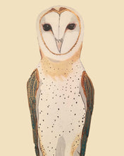 Load image into Gallery viewer, Olivia the Owl