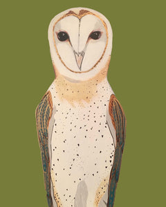 Olivia the Owl