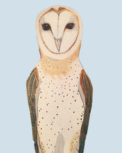 Load image into Gallery viewer, Olivia the Owl