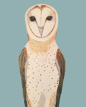 Load image into Gallery viewer, Olivia the Owl