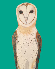 Load image into Gallery viewer, Olivia the Owl