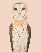 Load image into Gallery viewer, Olivia the Owl