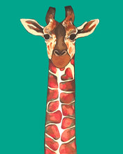 Load image into Gallery viewer, Zuberi the Giraffe