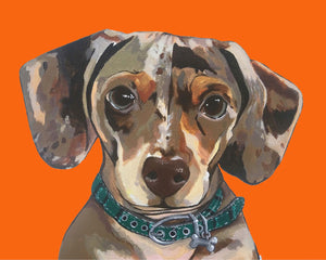Dog Print - Drake the Dachshund
