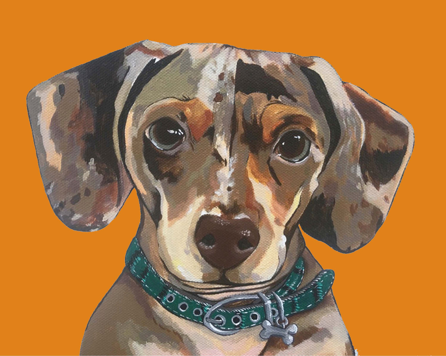 Dog Print - Drake the Dachshund