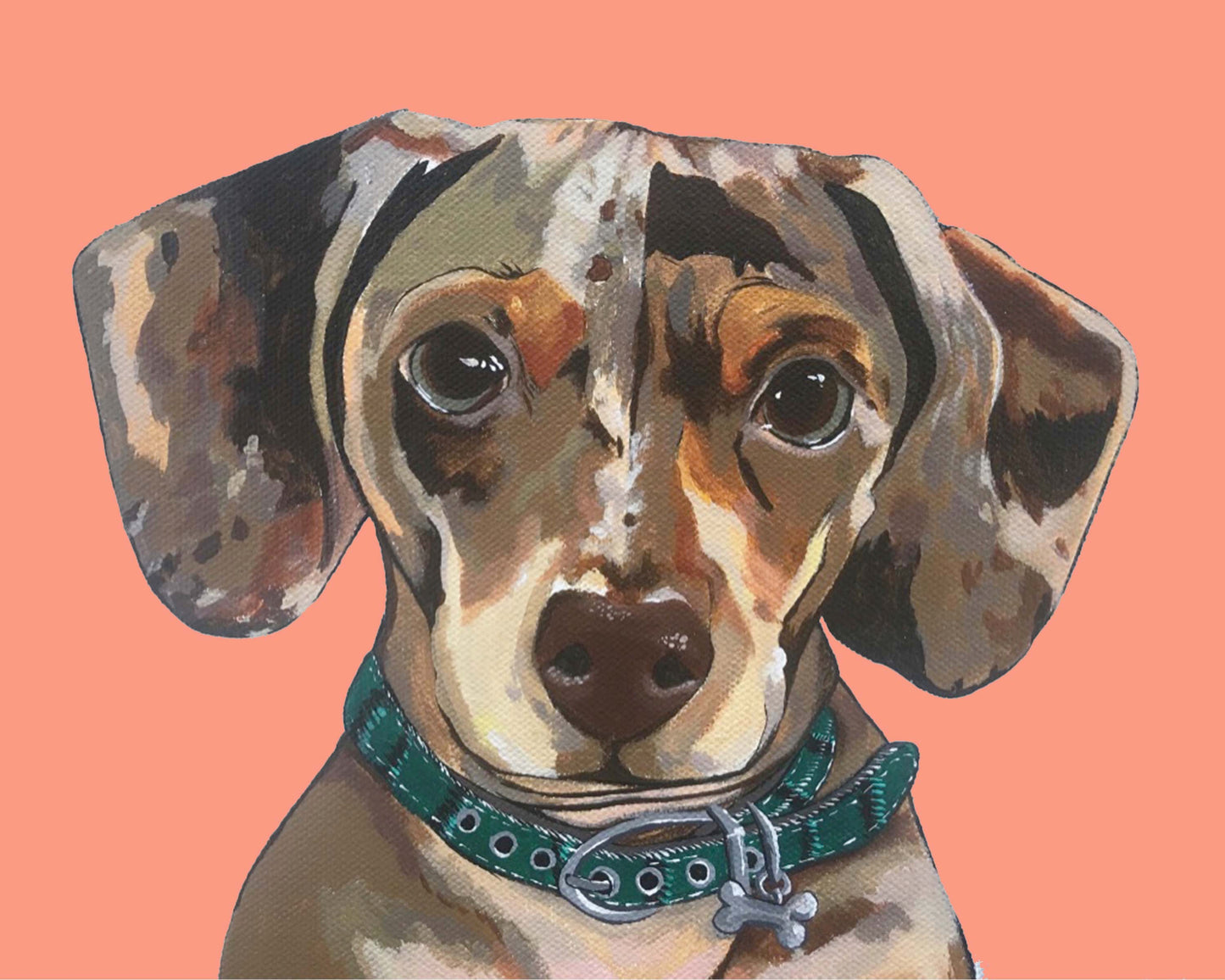 Dog Print - Drake the Dachshund