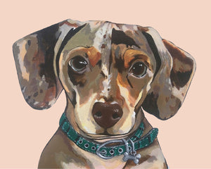 Dog Print - Drake the Dachshund