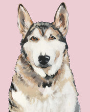 Load image into Gallery viewer, Bim the Husky