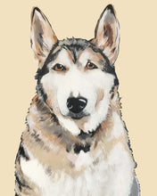 Load image into Gallery viewer, Bim the Husky
