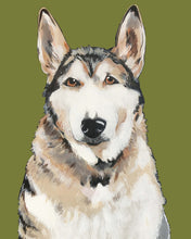 Load image into Gallery viewer, Bim the Husky
