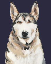 Load image into Gallery viewer, Bim the Husky